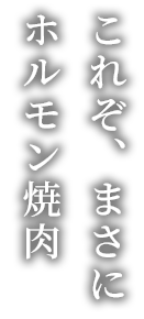 これぞ、まさにホルモン焼肉