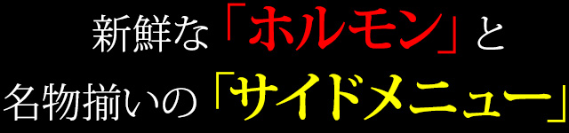 新鮮なホルモン