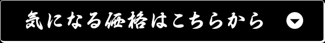 気になる価格