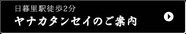 ヤナカタンセイのご案内