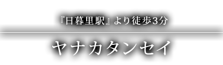 ヤナカタンセイ