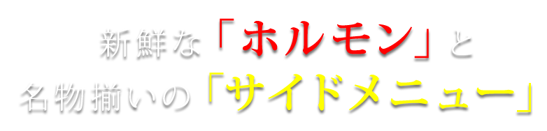 新鮮なホルモン